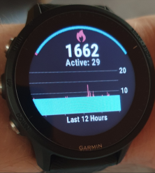 garmin calorie chart broken?