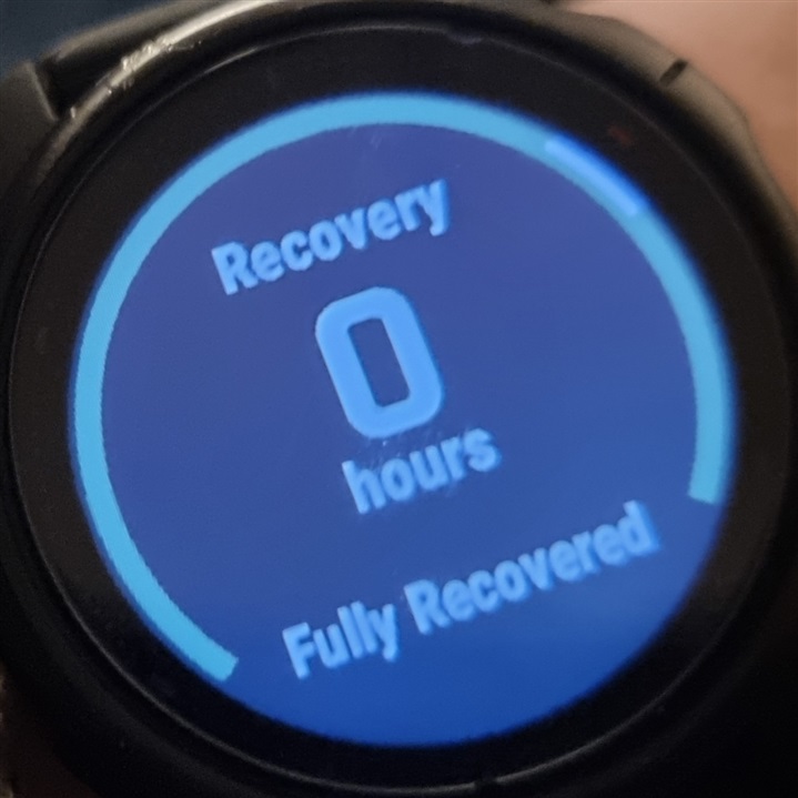 recovery-on-watch-face-not-updating-f-nix-6-series-wearables