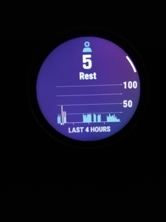 Heart rate widget missing gaps f nix 6 Series Wearables