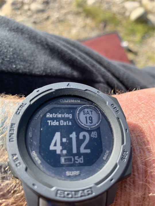 Instinct SURF BUGS. Garmin it s easy to solve PLEASE work on