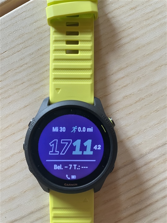 forerunner 495
