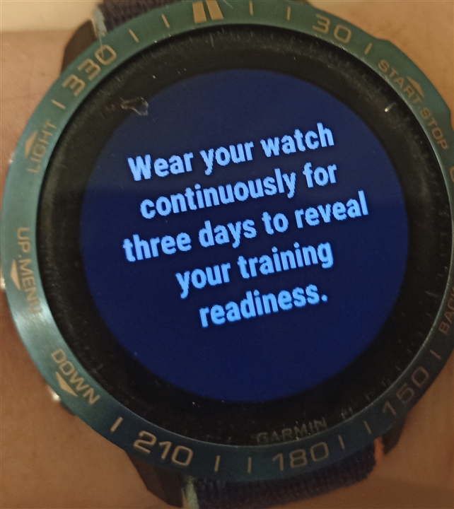 Lost discount garmin watch