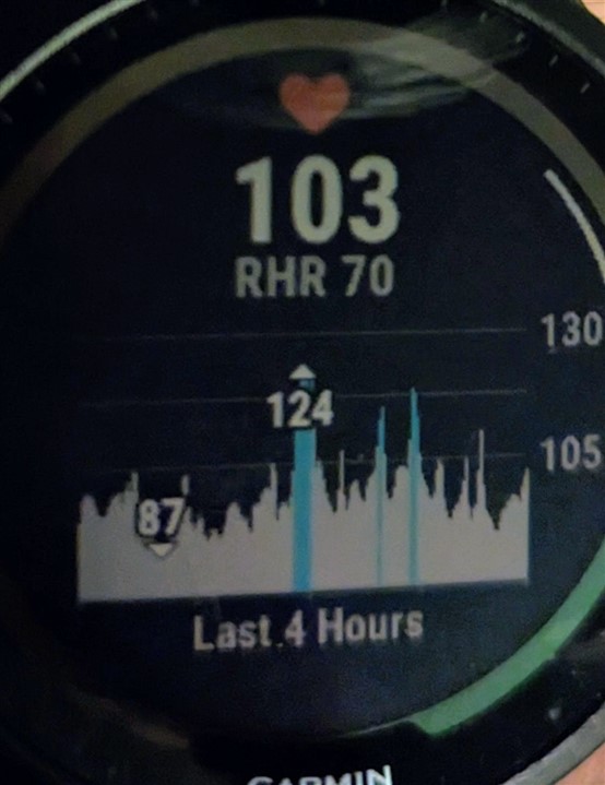 Garmin new scale clearance