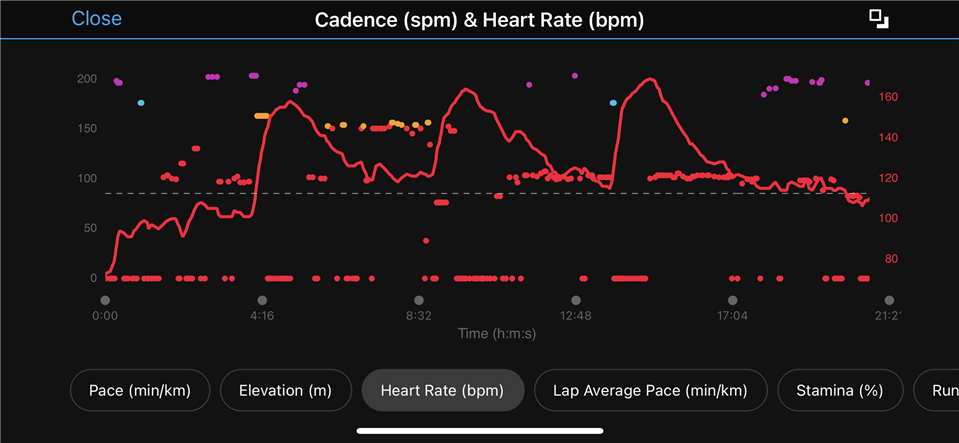 Running cadence hot sale garmin