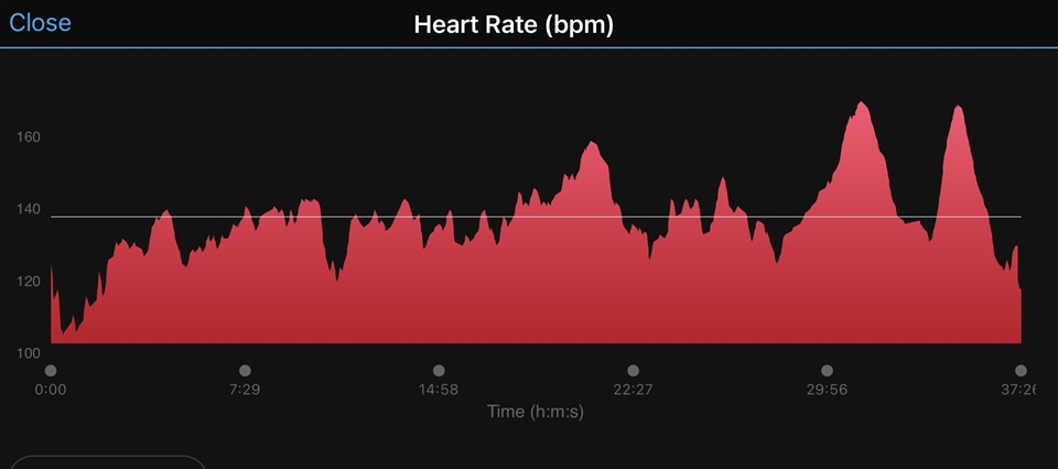 Garmin polar flow sales